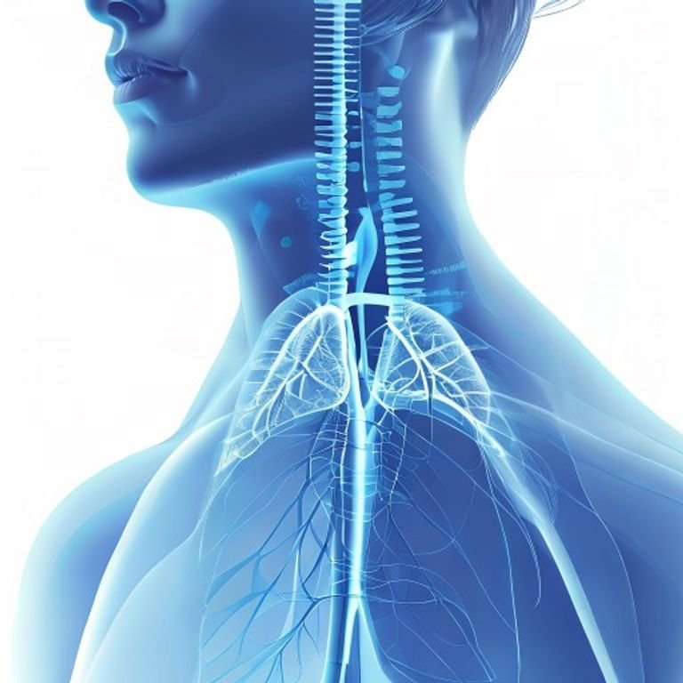 Breathing Sounds During Hearings: Health Experts Explain